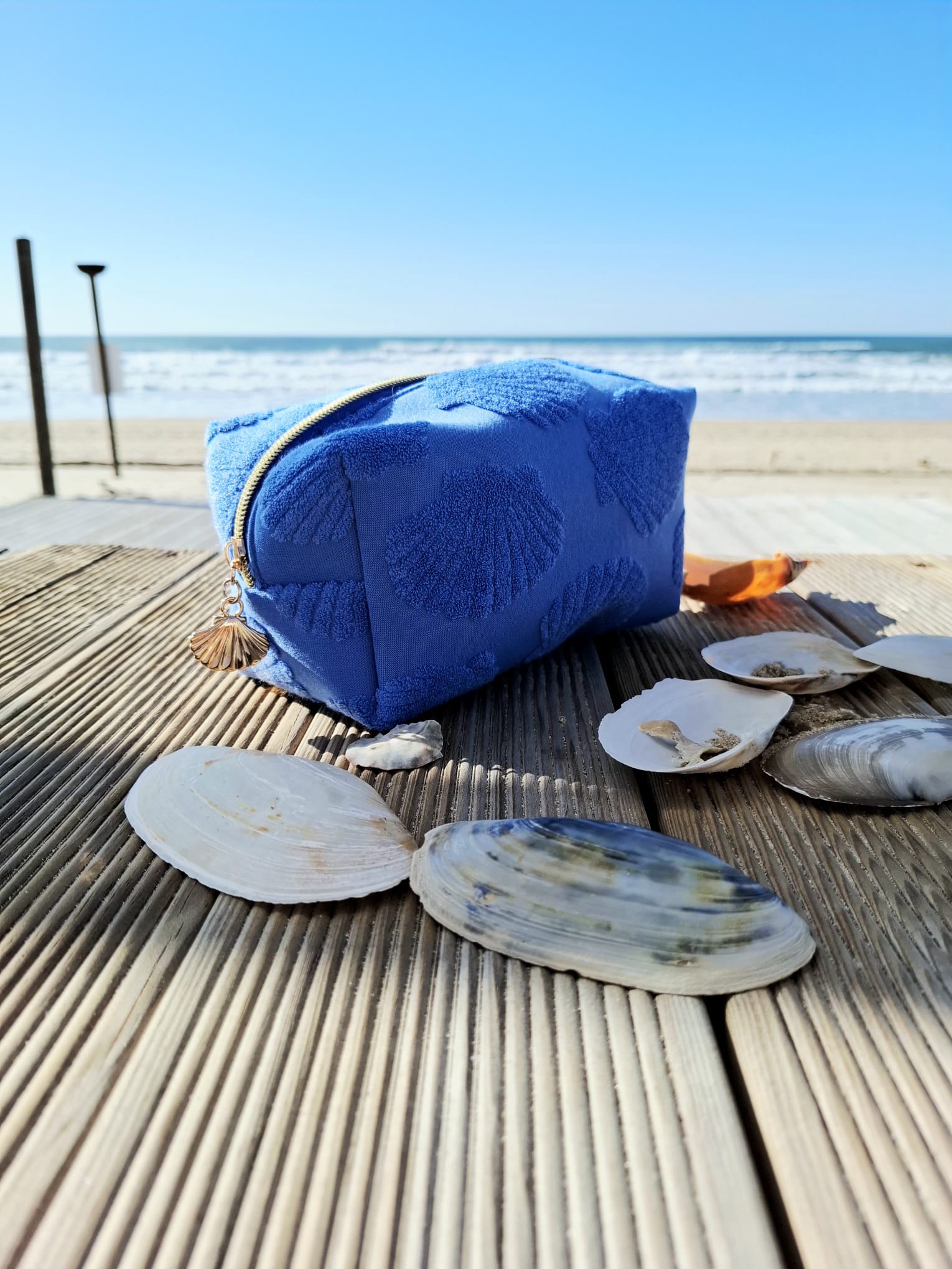 Blue Coast Shell – My Coral Sunset